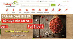 Desktop Screenshot of hataystore.com